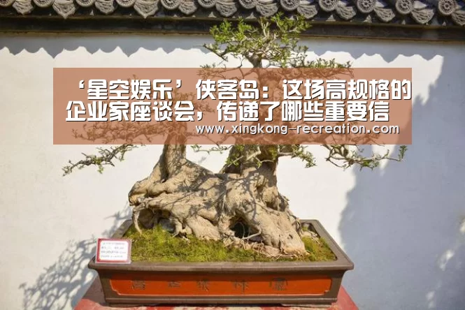 ‘星空娱乐’侠客岛:这场高规格的企业家座谈会,传递了哪些重要信息?(图1) 星空娱乐