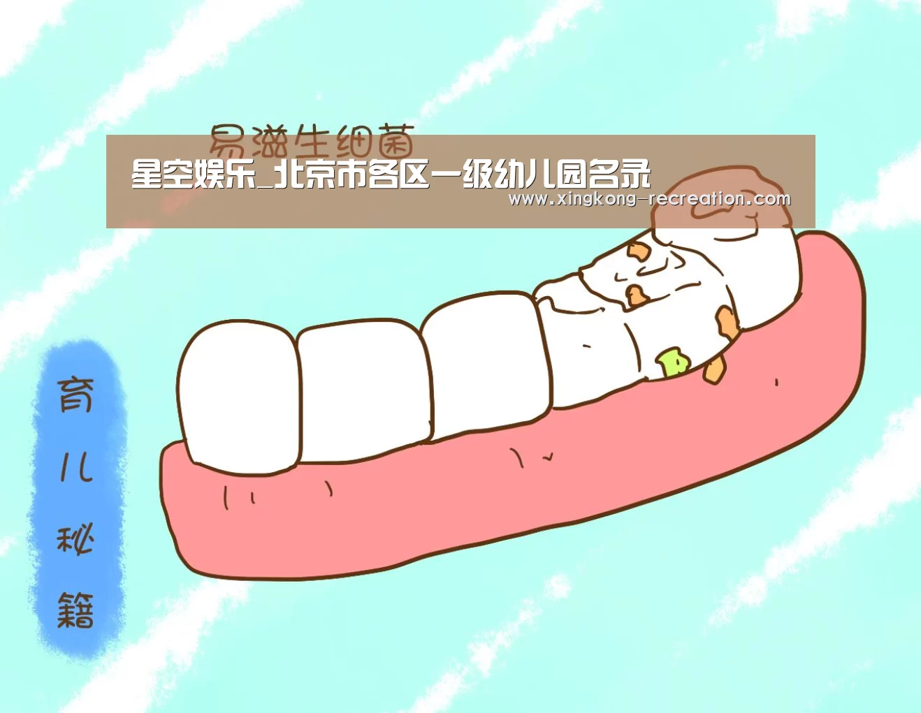 星空娱乐